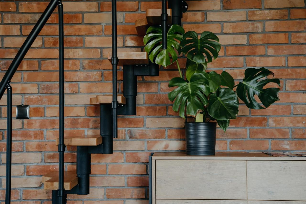 Osada Witów - apartament „Czerwone Wierchy” Zewnętrze zdjęcie